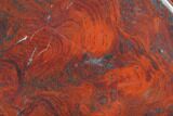 Polished Stromatolite (Collenia) - Minnesota #126090-1